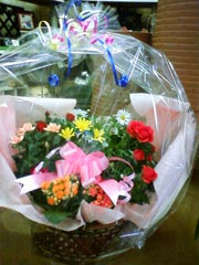 お花や緑の贈り物