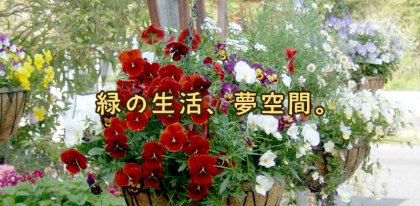 福岡県田川市で贈り物の胡蝶蘭や、ガーデニング用品・肥料、花と野菜の種苗、観葉植物、鉢の専門店（花屋）ならグリーンハウス シュガーポット